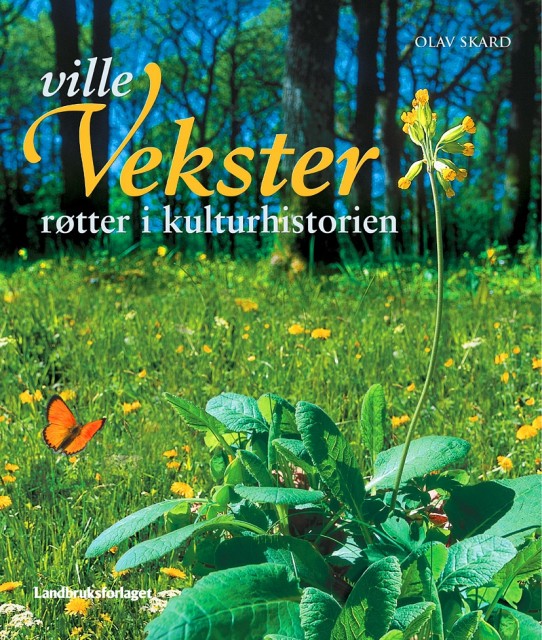 Olav Skard, Svein Grønvold (illustratør)
