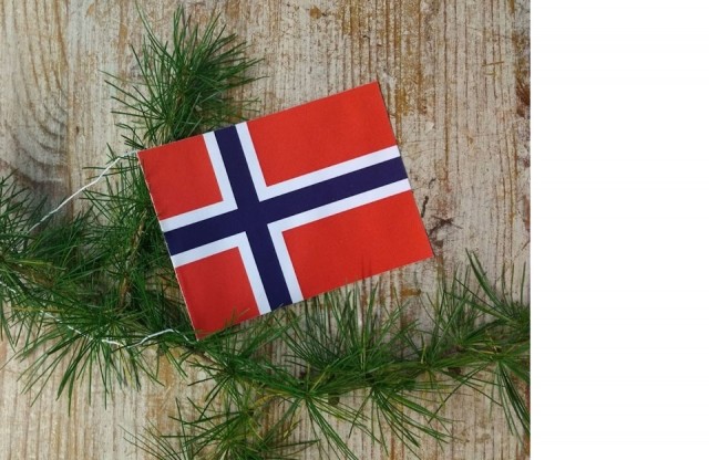Flagget montert i trådløkke.
