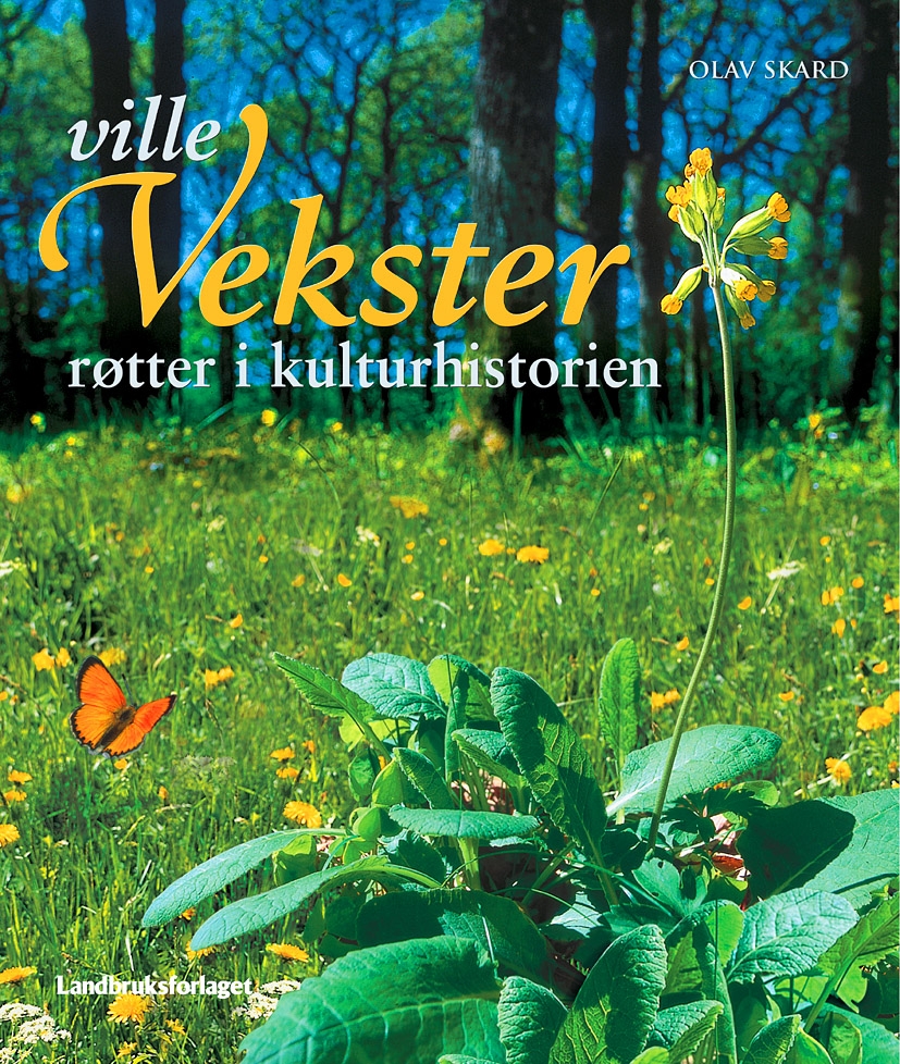 Olav Skard, Svein Grønvold (illustratør)